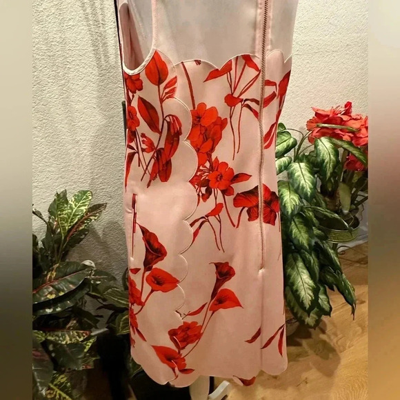 Ted Baker Pink Jaazmin Fantasia Scallop Mini Dress size 3 - Picture 7 of 16